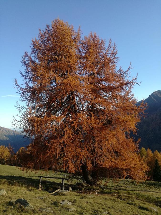 Angeli Dolomiti House Apartment Croviana Bagian luar foto