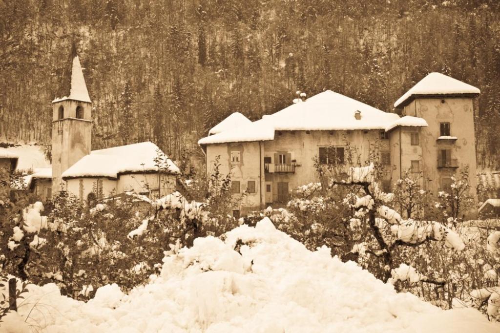 Angeli Dolomiti House Apartment Croviana Bagian luar foto
